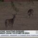 New Mississippi CWD management zone goes into effect in 2024
