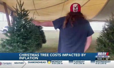 Inflation, weather woes driving Christmas tree prices upward Pt. 2