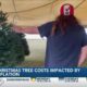 Inflation, weather woes driving Christmas tree prices upward Pt. 2