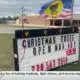 Inflation, weather woes driving Christmas tree prices upward