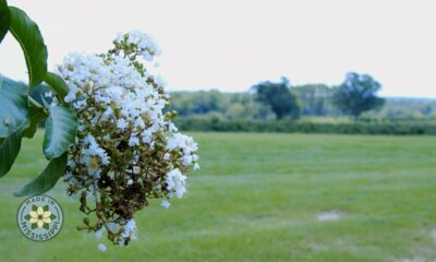 Made in Mississippi: Ep. 10 - Sandy Run Farms