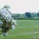 Made in Mississippi: Ep. 10 - Sandy Run Farms