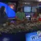 VIDEO: Will we see a white Christmas?