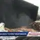 Stokes Food Drive