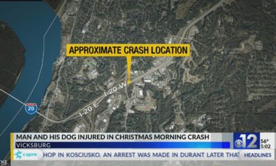 Man and his dog injured in Christmas Morning crash in Vicksburg