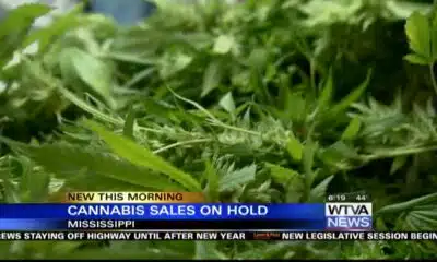 MSDH reports holds on some cannabis sales