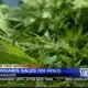 MSDH reports holds on some cannabis sales