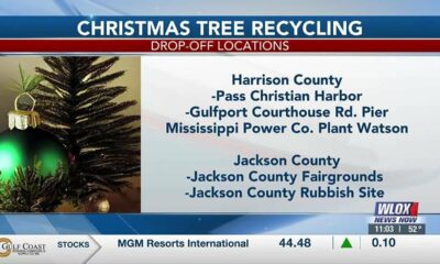 Christmas tree and cardboard recycling locations across the Gulf Coast announced