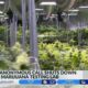 Anonymous call leads to shut down of medical marijuana testing lab