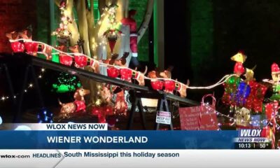 Weiner Wonderland display lighting up for a good cause