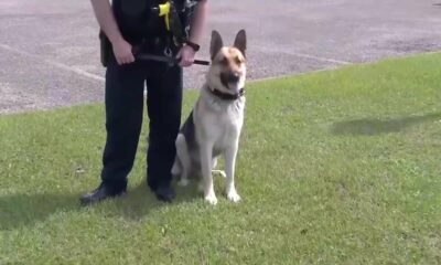 Laurel Police Department K-9 unit donations