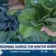 Gardening during the winter months