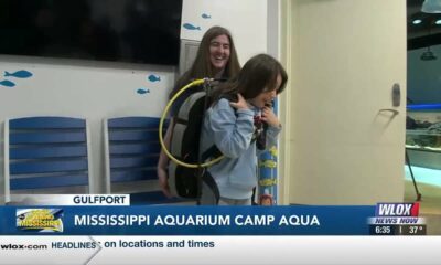 Kids learn about deep-sea diving (sea life) at the Mississippi Aquarium's holiday camp