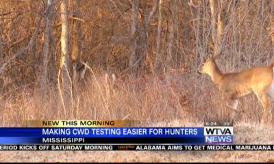 MDWFP partnering with taxidermists to making testing for CWD easier