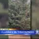 Snow flurries seen Friday morning in Tishomingo County, Mississippi