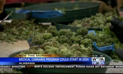 Alabama medical marijuana program to start in 2024