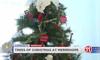 LAST DAY FOR MERREHOPE'S TREES OF CHRISTMAS
