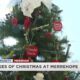 LAST DAY FOR MERREHOPE'S TREES OF CHRISTMAS