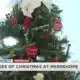 LAST DAY FOR MERREHOPE'S TREES OF CHRISTMAS