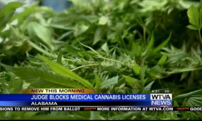 Judge blocks medical cannabis licenses in Alabama