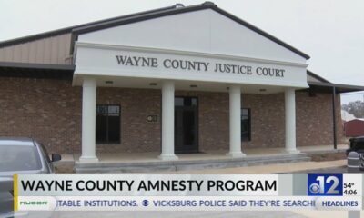 Wayne County offers amnesty period for unpaid fines