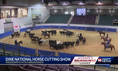 Dixie National Horse Cutting Show