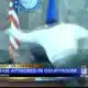 Mayor reacts to viral attack on judge in Nevada