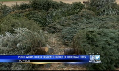 Tupelo offering drop off sites for Christmas tree disposal