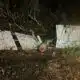 Damage reports across the Pine Belt