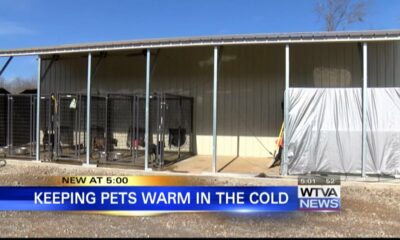 Bringing pets inside during cold weather is not only life and death but also the law