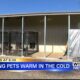 Bringing pets inside during cold weather is not only life and death but also the law