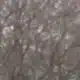 City of Meridian and EMEPA prepare for winter weather