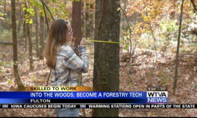 Skilled to Work; How to become a forestry tech