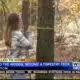Skilled to Work; How to become a forestry tech
