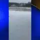 Pets enjoying the snow on Tuesday - Part 1