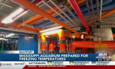 LIVE: Mississippi Aquarium prepared for freezing temperatures