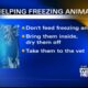 OCHS suggest ways to help freezing animals