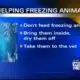 OCHS suggest ways to help freezing animals
