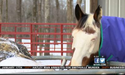 Horse owner takes extra precautions during freezing weather