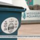 Mississippi Aquarium Mardi Gras bead recycling program