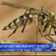 Winter weather will not reduce number of mosquitoes in Mississippi