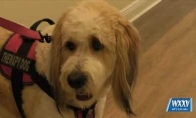 Meggan Monday: Therapy Dog brings Smiles