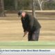 Snowbird season underway at local golf courses