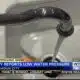 Calhoun City is reporting low water pressure in the area