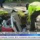 Jackson still searching for garbage vendor