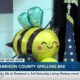Harrison County School District hosts Spelling Bee