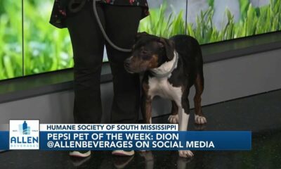 Pepsi Pet of the Week: Dion (01/23/2023)