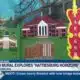 50th mural explores "Hattiesburg Horizons"