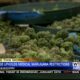 Judge upholds medical marijuana restrictions in Mississippi