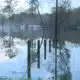 Heavy Rainfall Prompts Texas Dam Release, Leads to Flooding